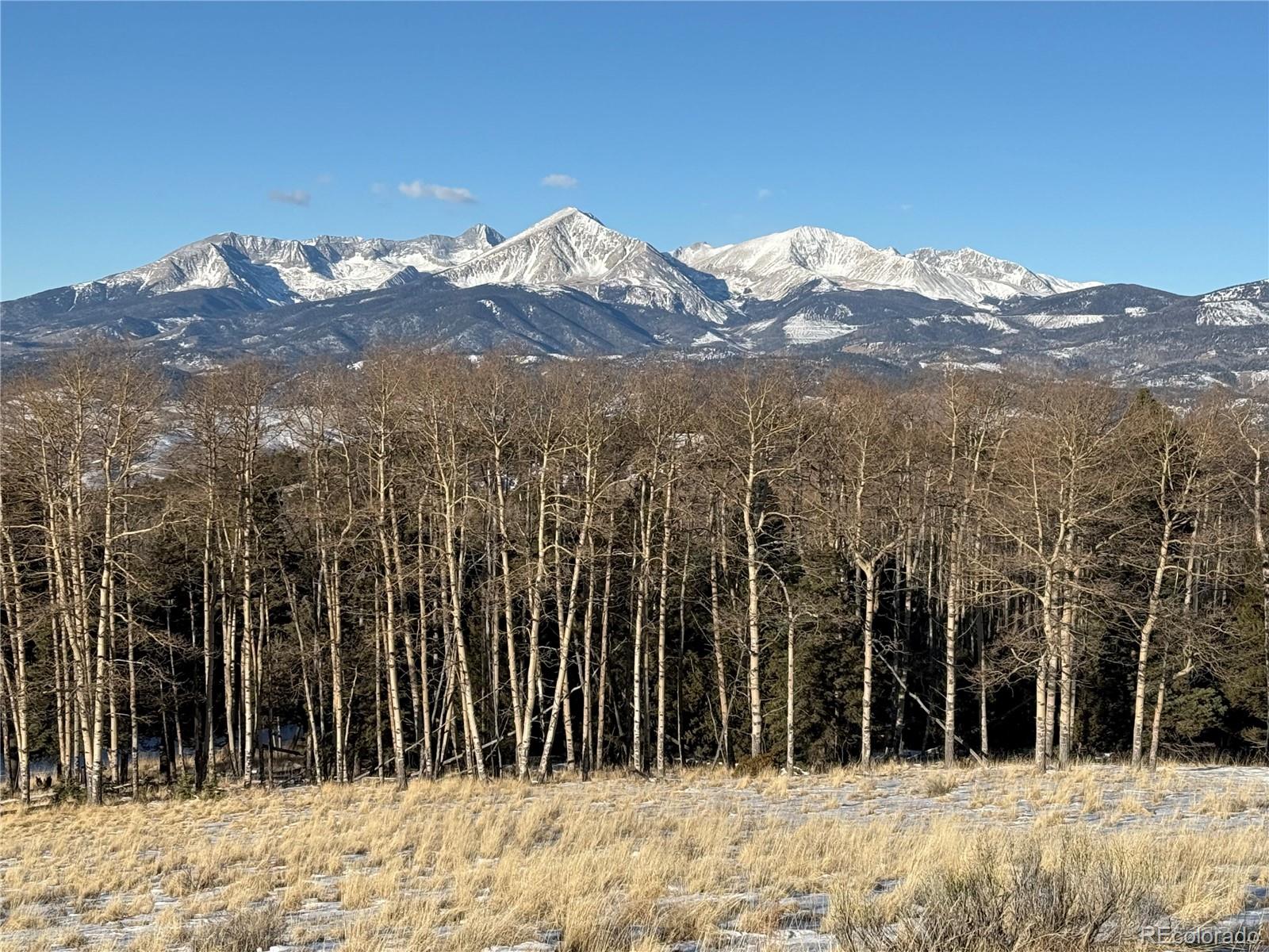 Lot 499 Collinson Drive Fort Garland CO 81133