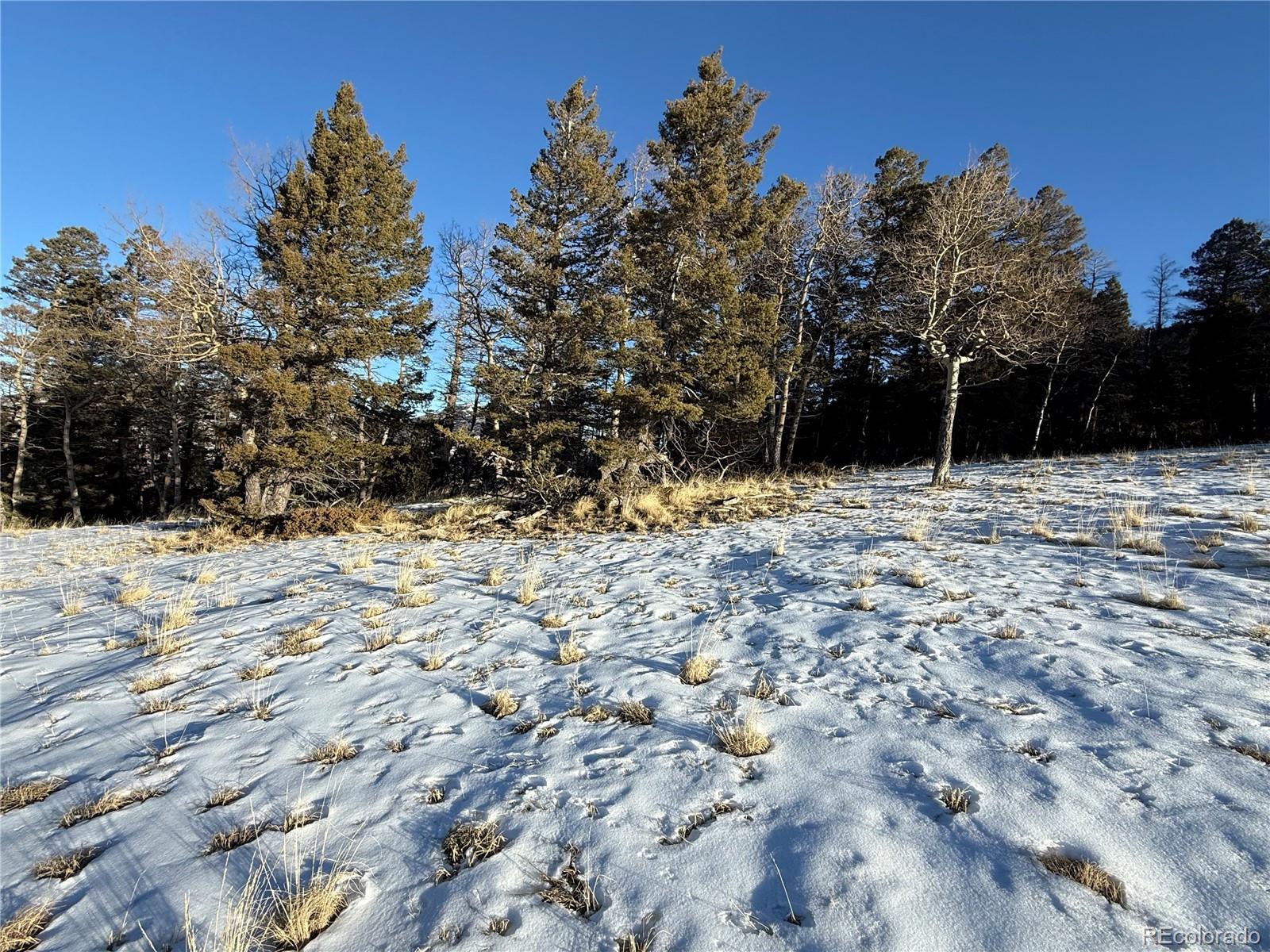 Lot 499 Collinson Drive Fort Garland CO 81133