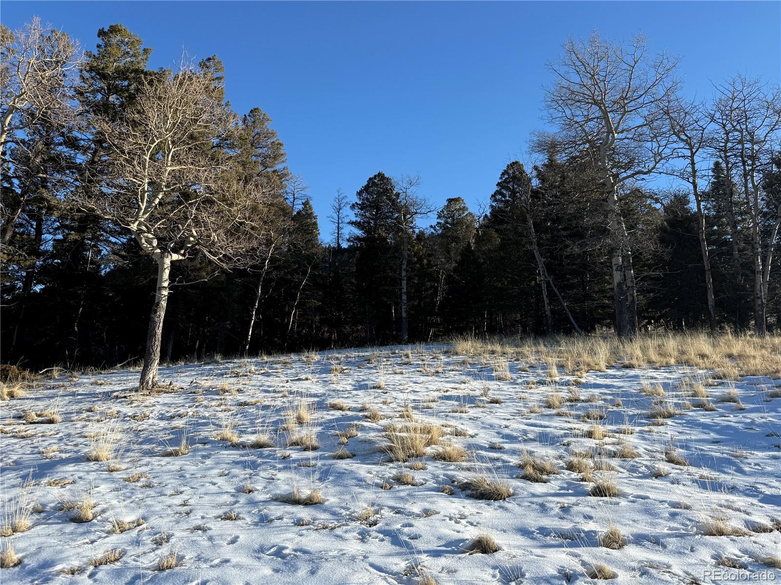 Lot 499 Collinson Drive Fort Garland CO 81133
