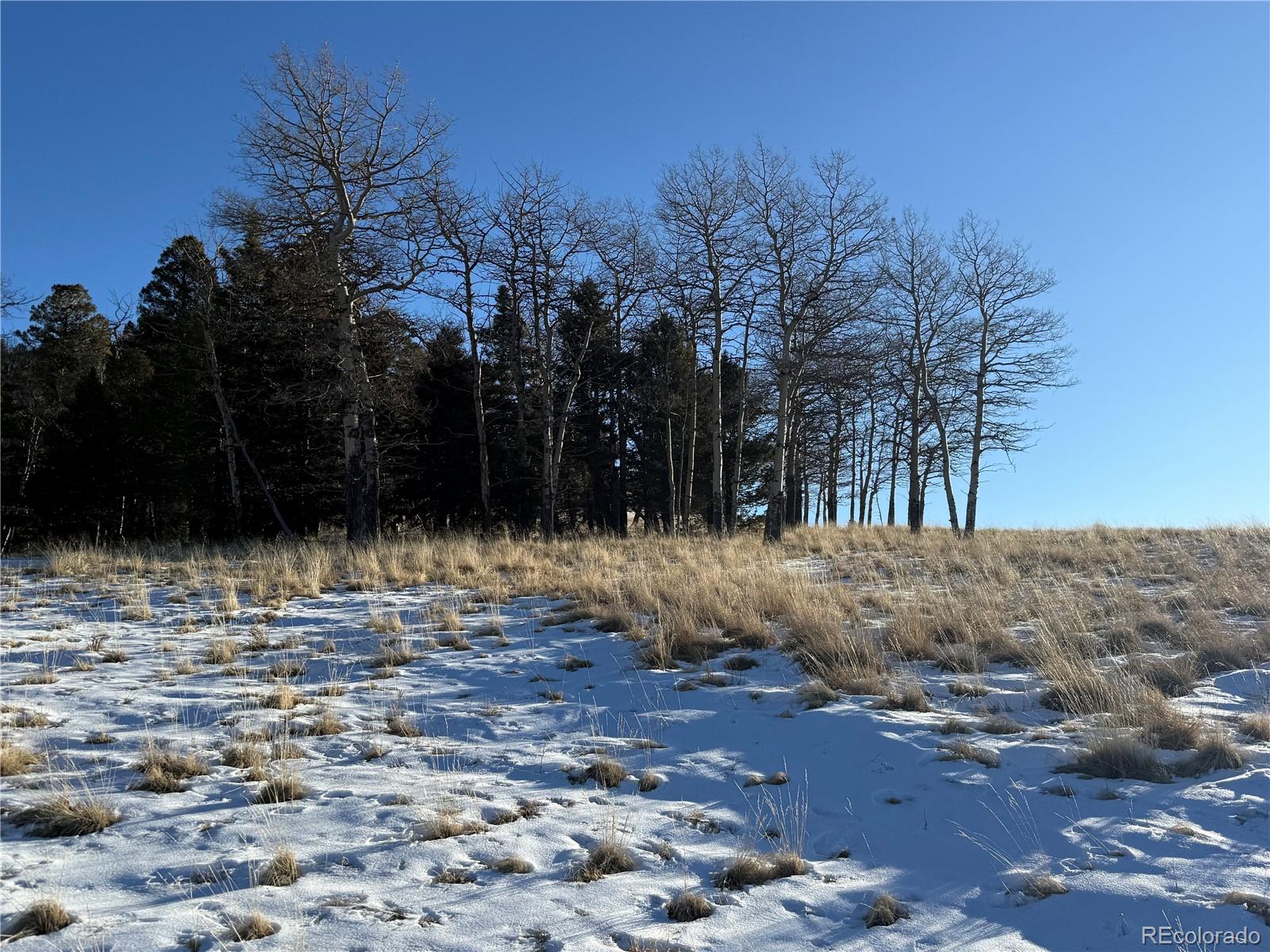 Lot 499 Collinson Drive Fort Garland CO 81133