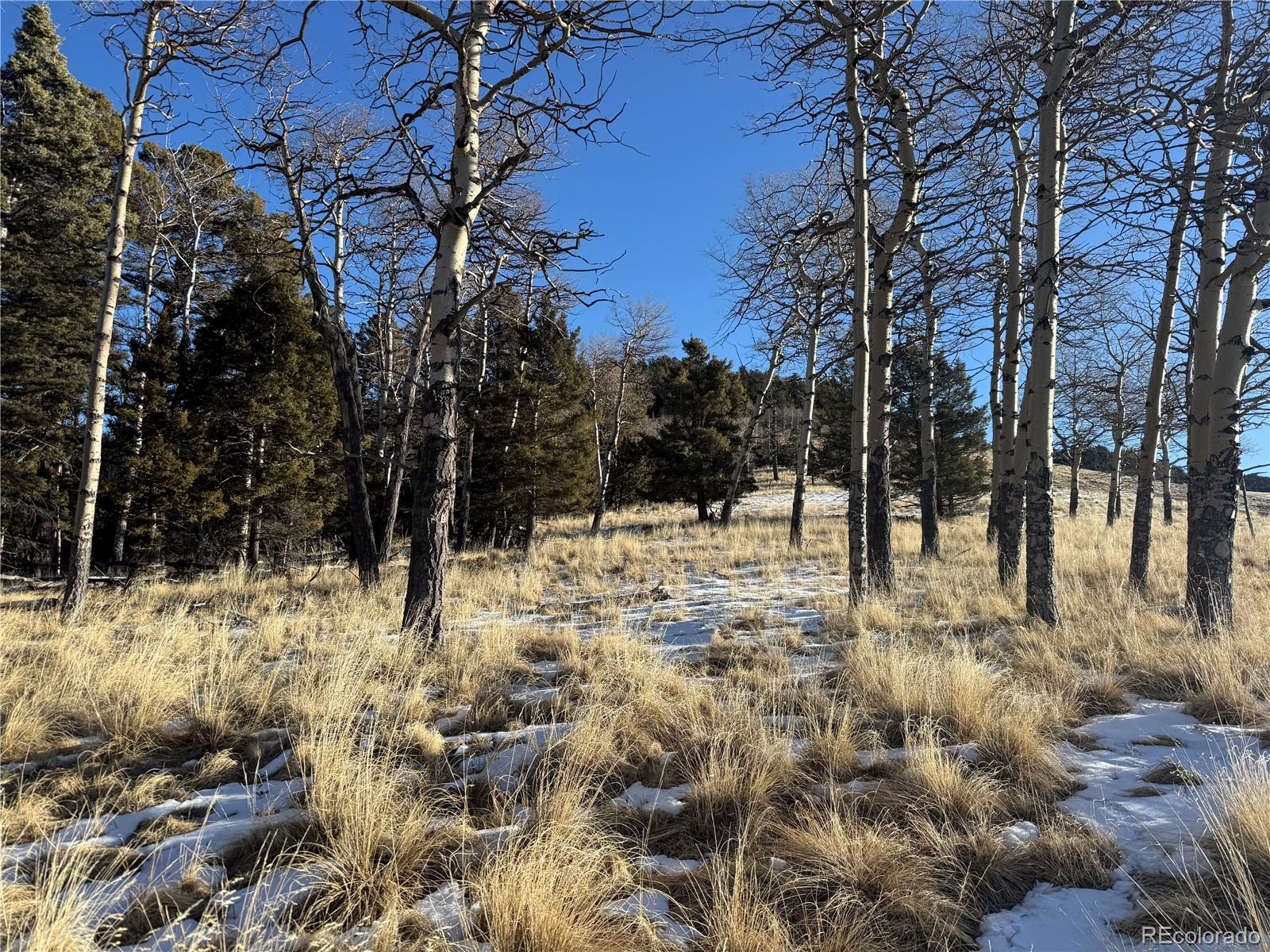 Lot 499 Collinson Drive Fort Garland CO 81133