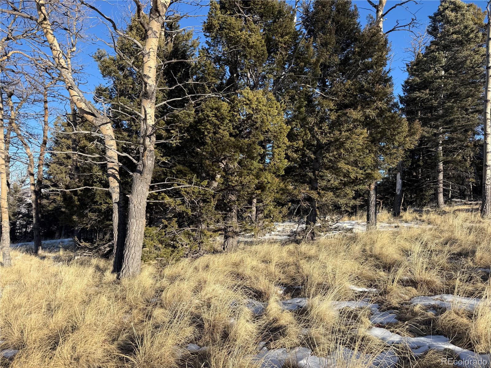Lot 499 Collinson Drive Fort Garland CO 81133