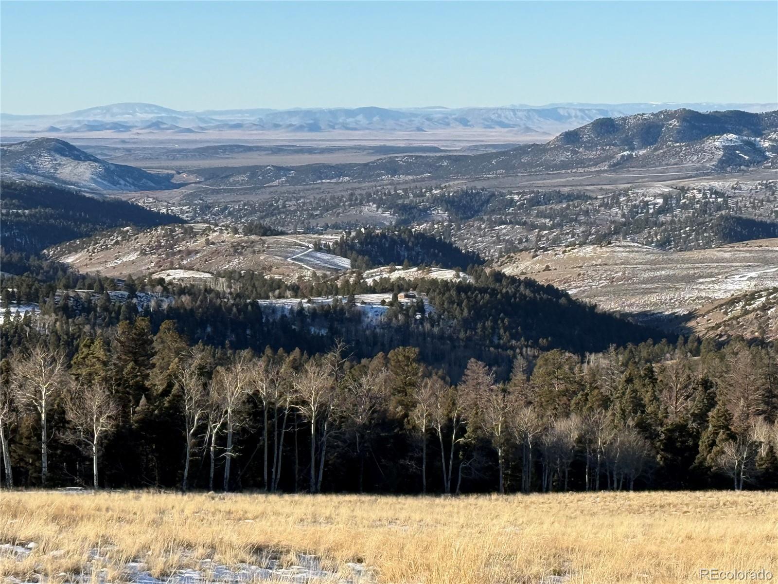 Lot 499 Collinson Drive Fort Garland CO 81133
