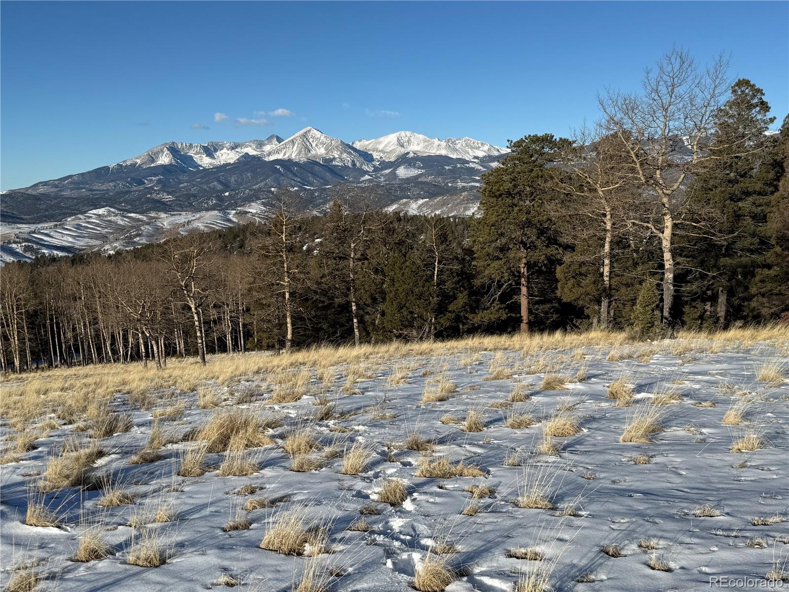 Lot 499 Collinson Drive Fort Garland CO 81133
