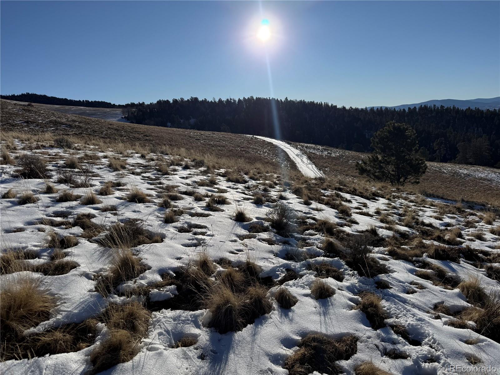 Lot 499 Collinson Drive Fort Garland CO 81133