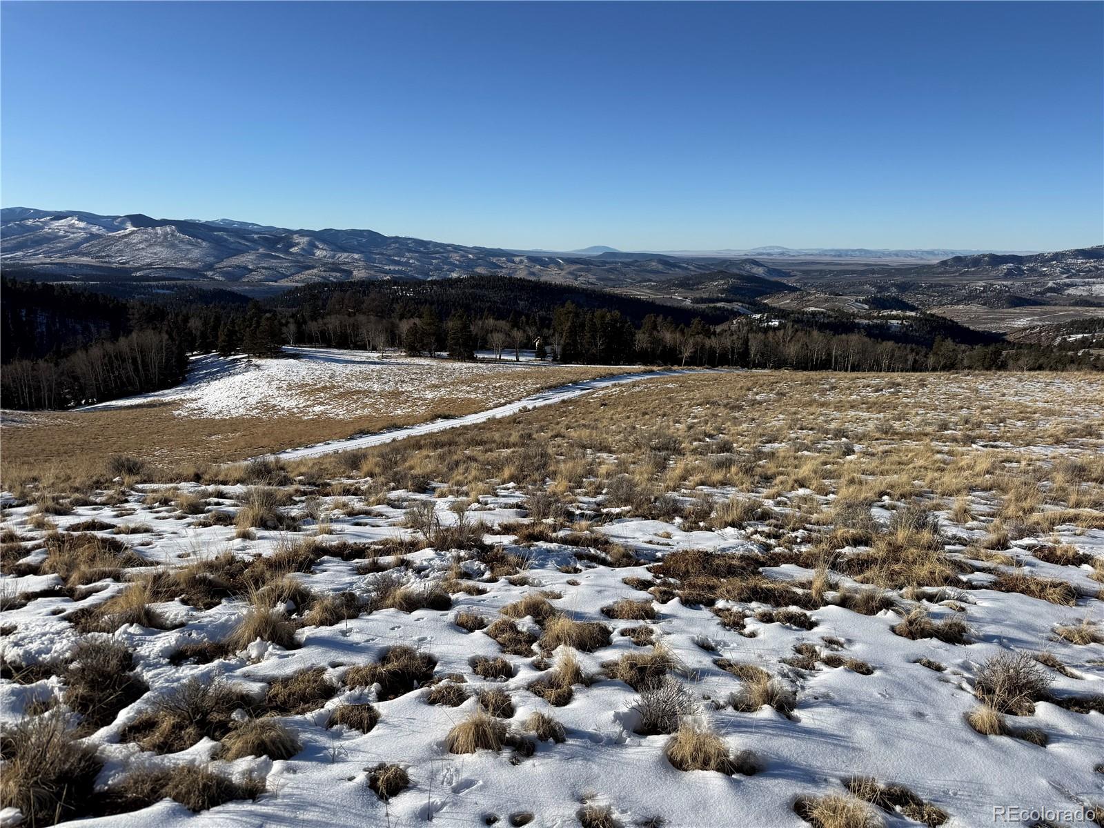 Lot 499 Collinson Drive Fort Garland CO 81133