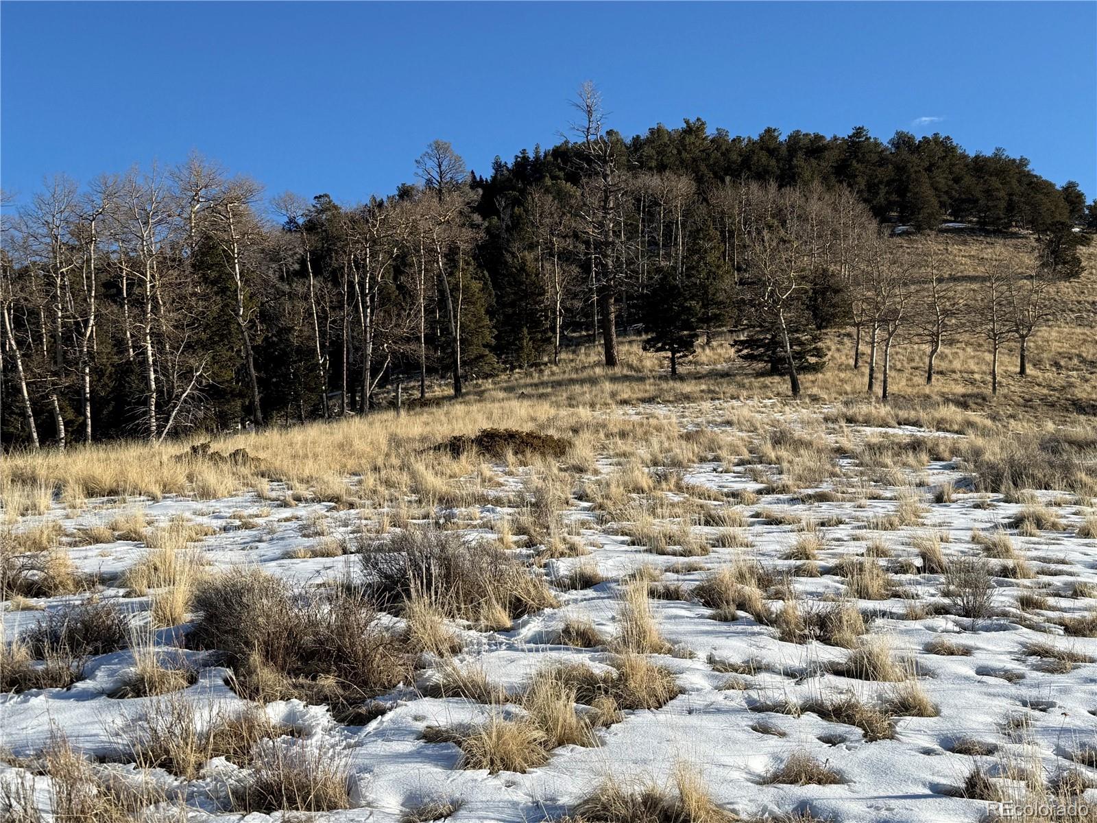 Lot 499 Collinson Drive Fort Garland CO 81133