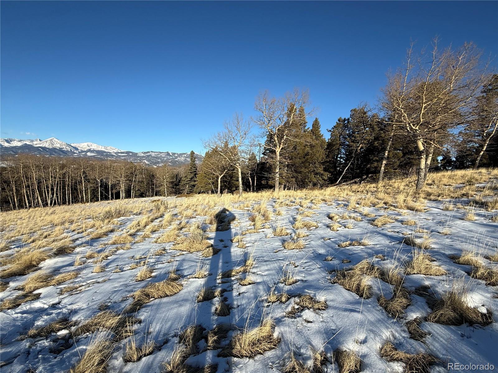 Lot 499 Collinson Drive Fort Garland CO 81133