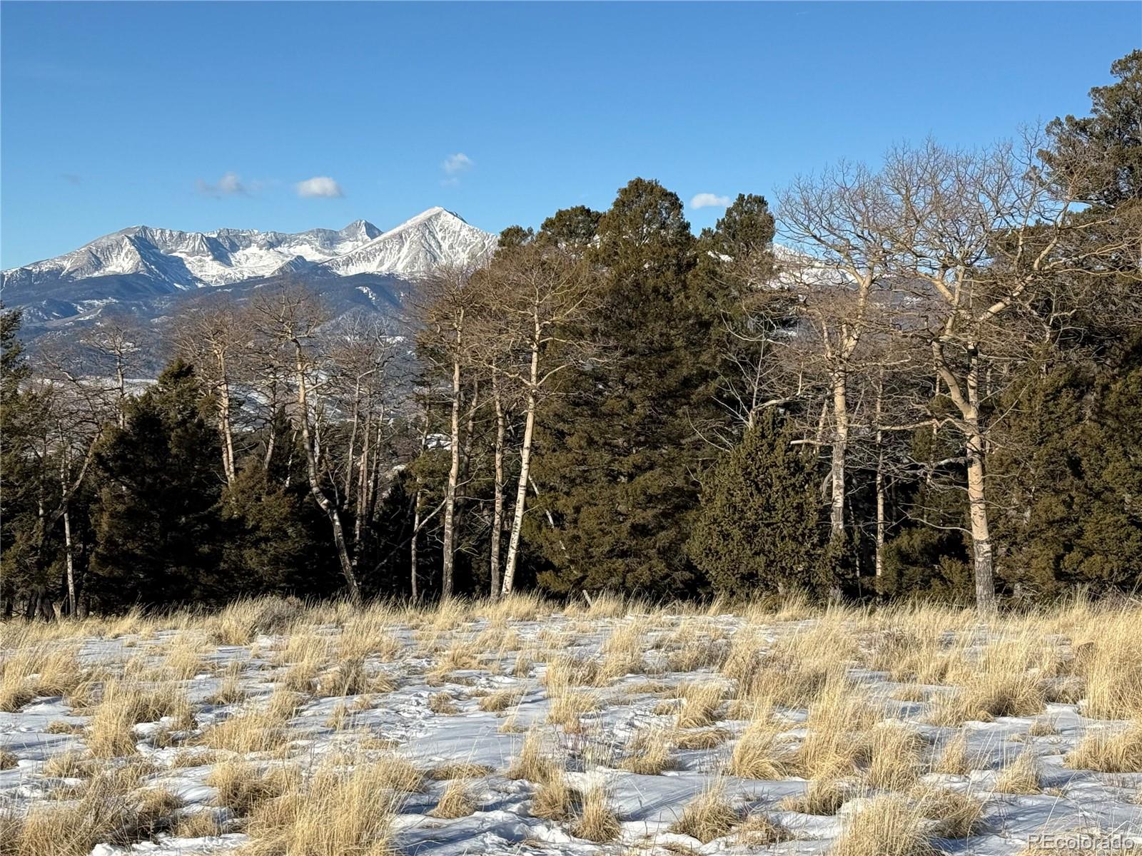 Lot 499 Collinson Drive Fort Garland CO 81133