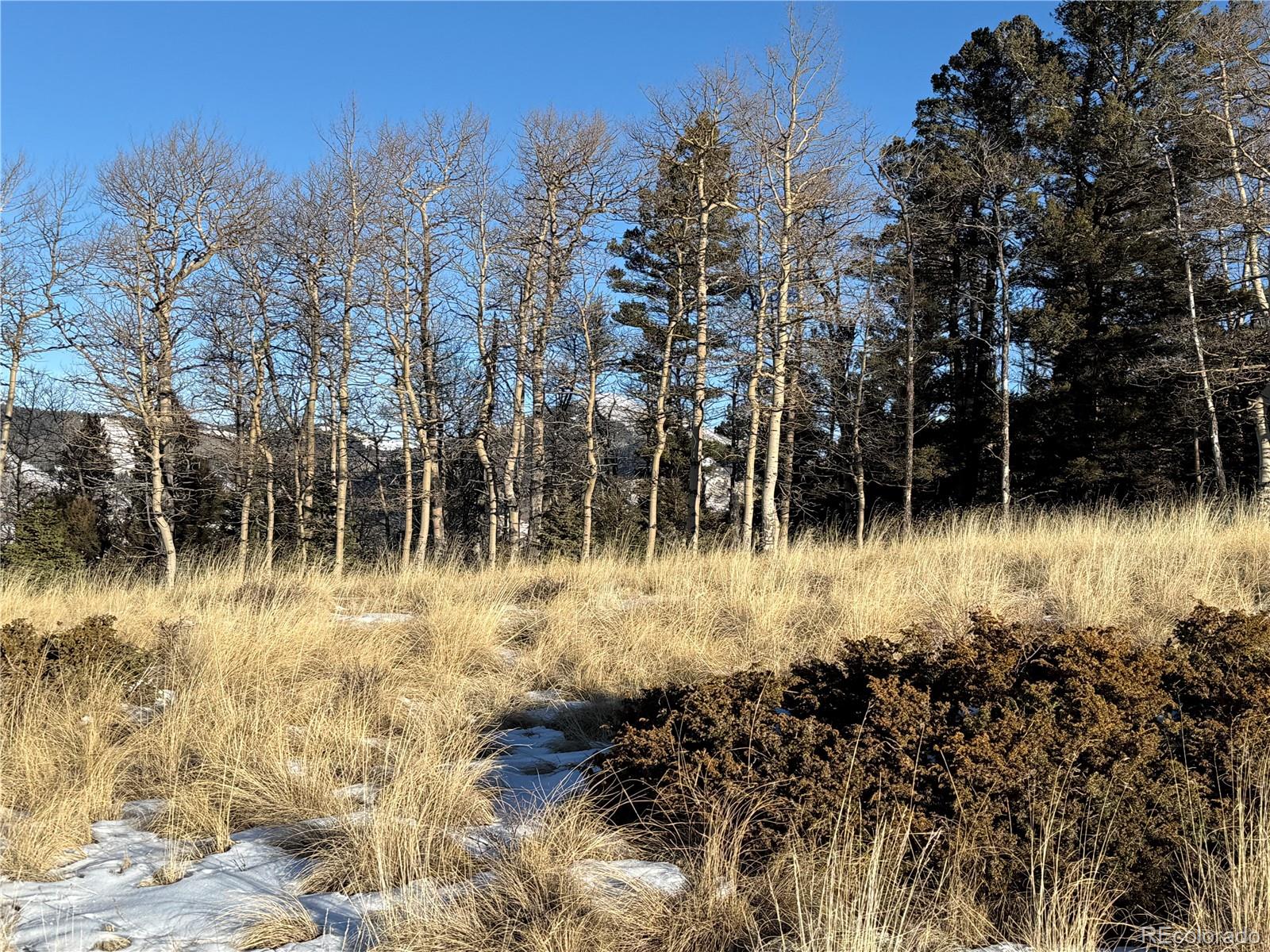 Lot 499 Collinson Drive Fort Garland CO 81133
