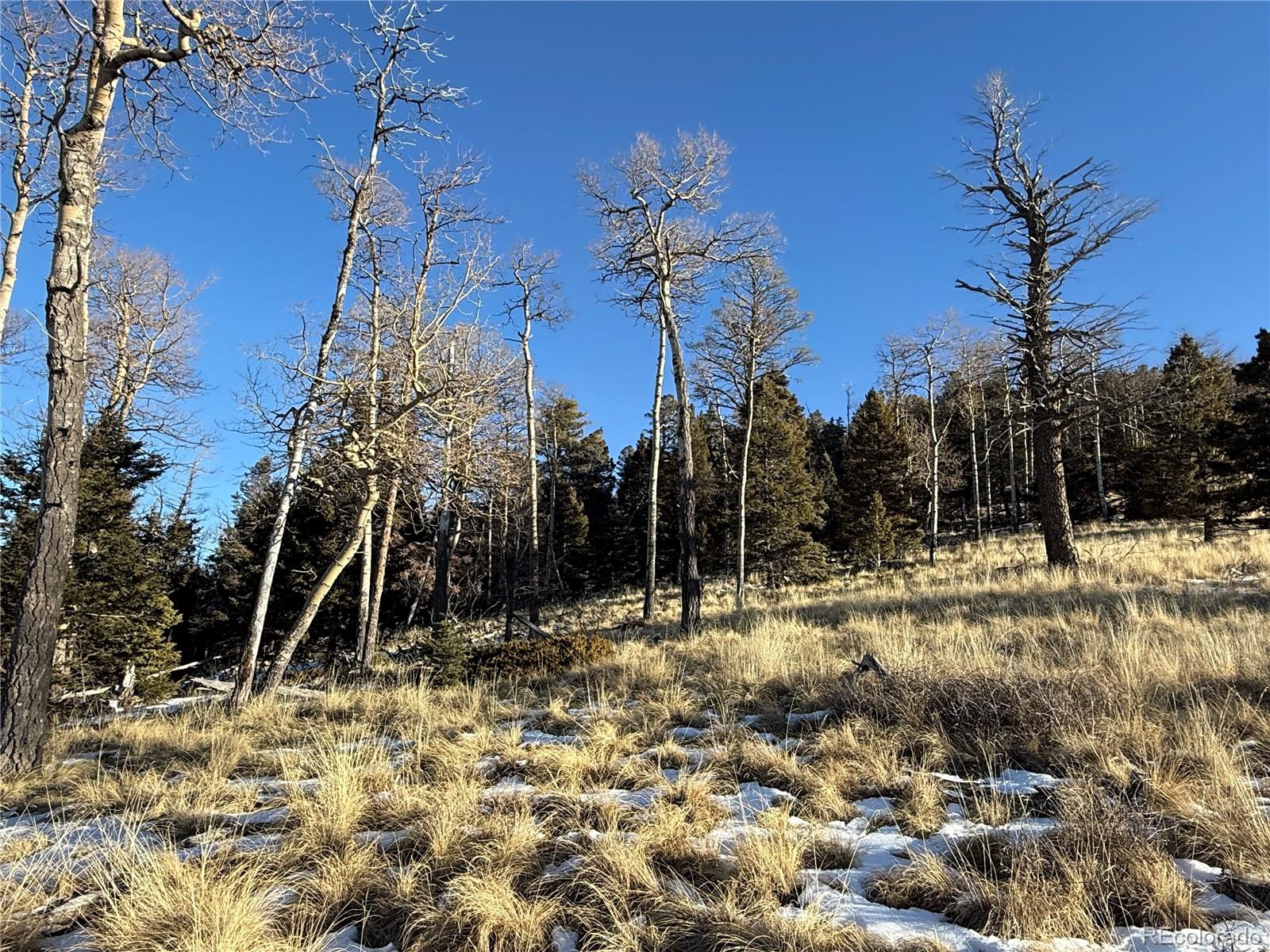 Lot 499 Collinson Drive Fort Garland CO 81133