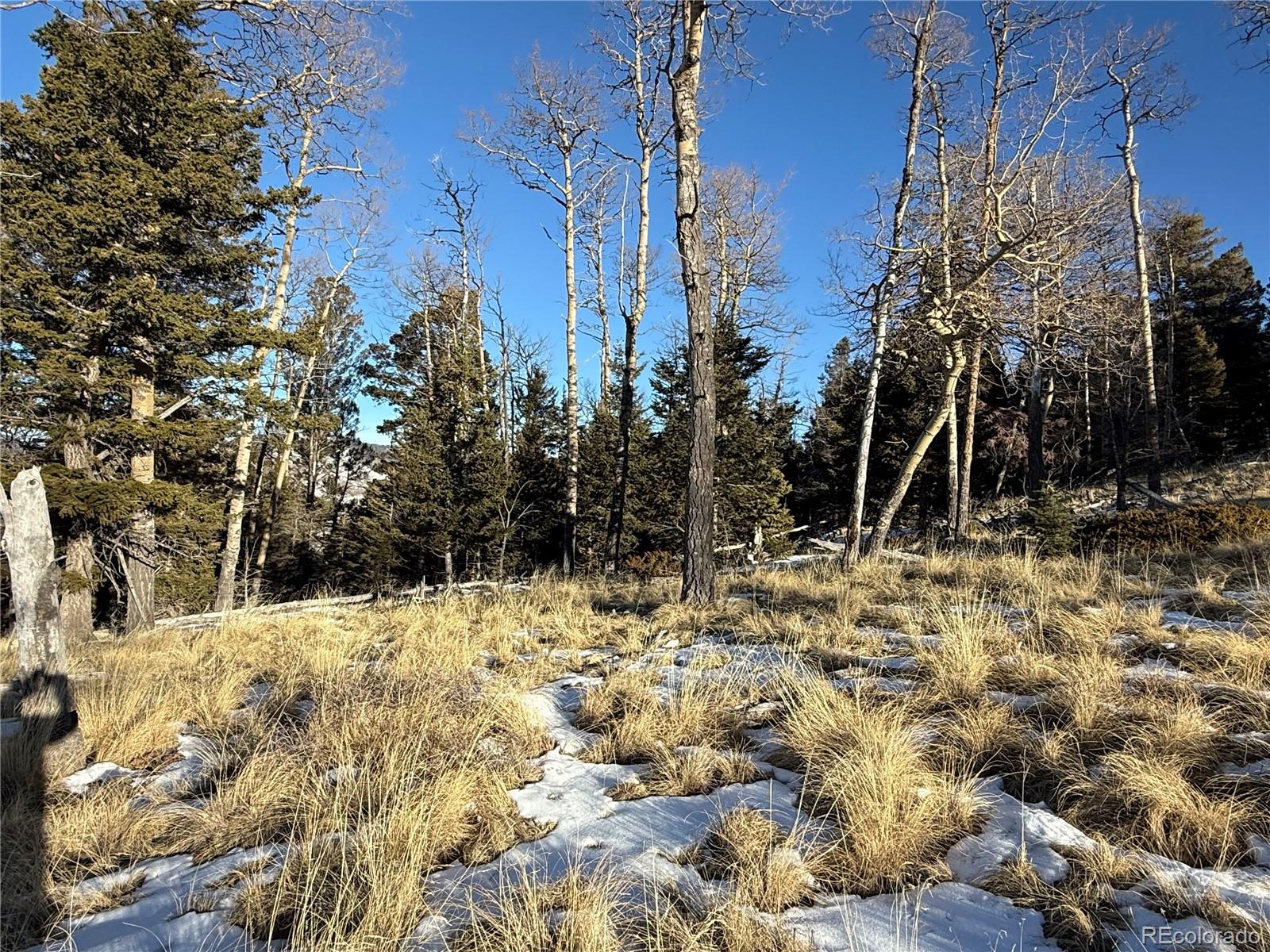 Lot 499 Collinson Drive Fort Garland CO 81133