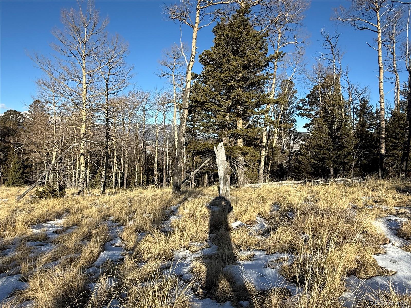 Lot 499 Collinson Drive Fort Garland CO 81133