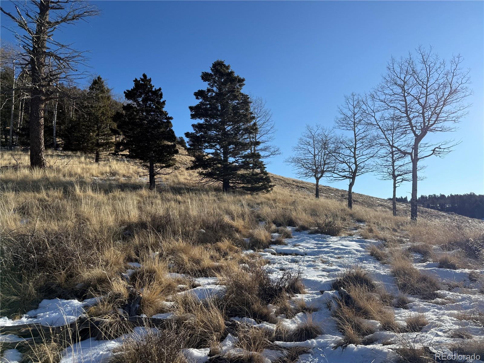 Lot 499 Collinson Drive Fort Garland CO 81133