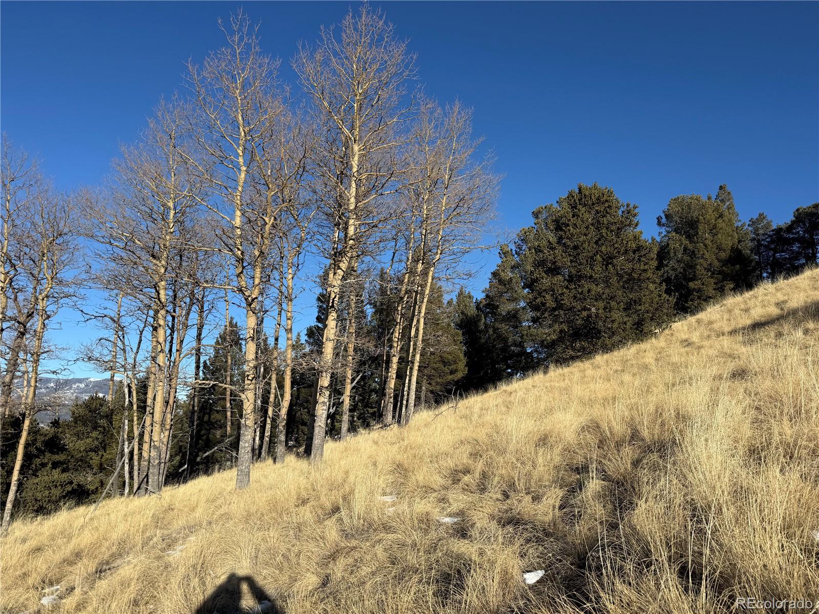 Lot 499 Collinson Drive Fort Garland CO 81133