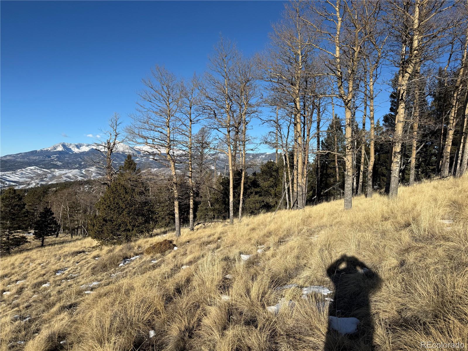 Lot 499 Collinson Drive Fort Garland CO 81133