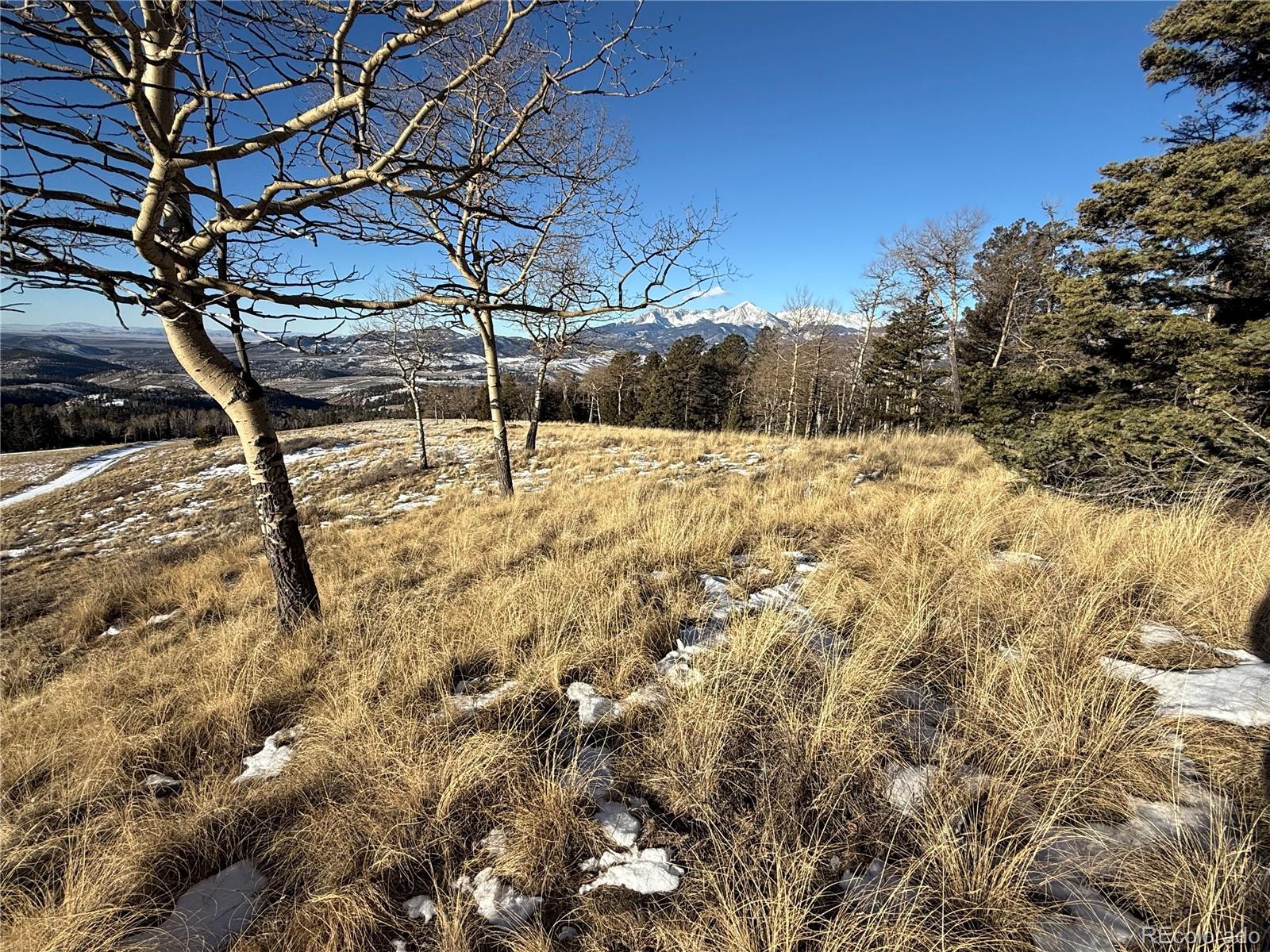 Lot 499 Collinson Drive Fort Garland CO 81133