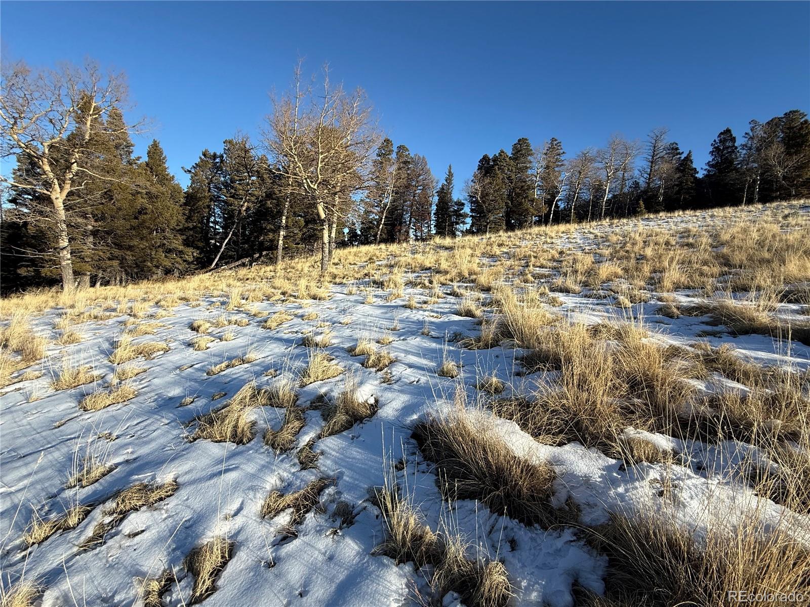 Lot 499 Collinson Drive Fort Garland CO 81133