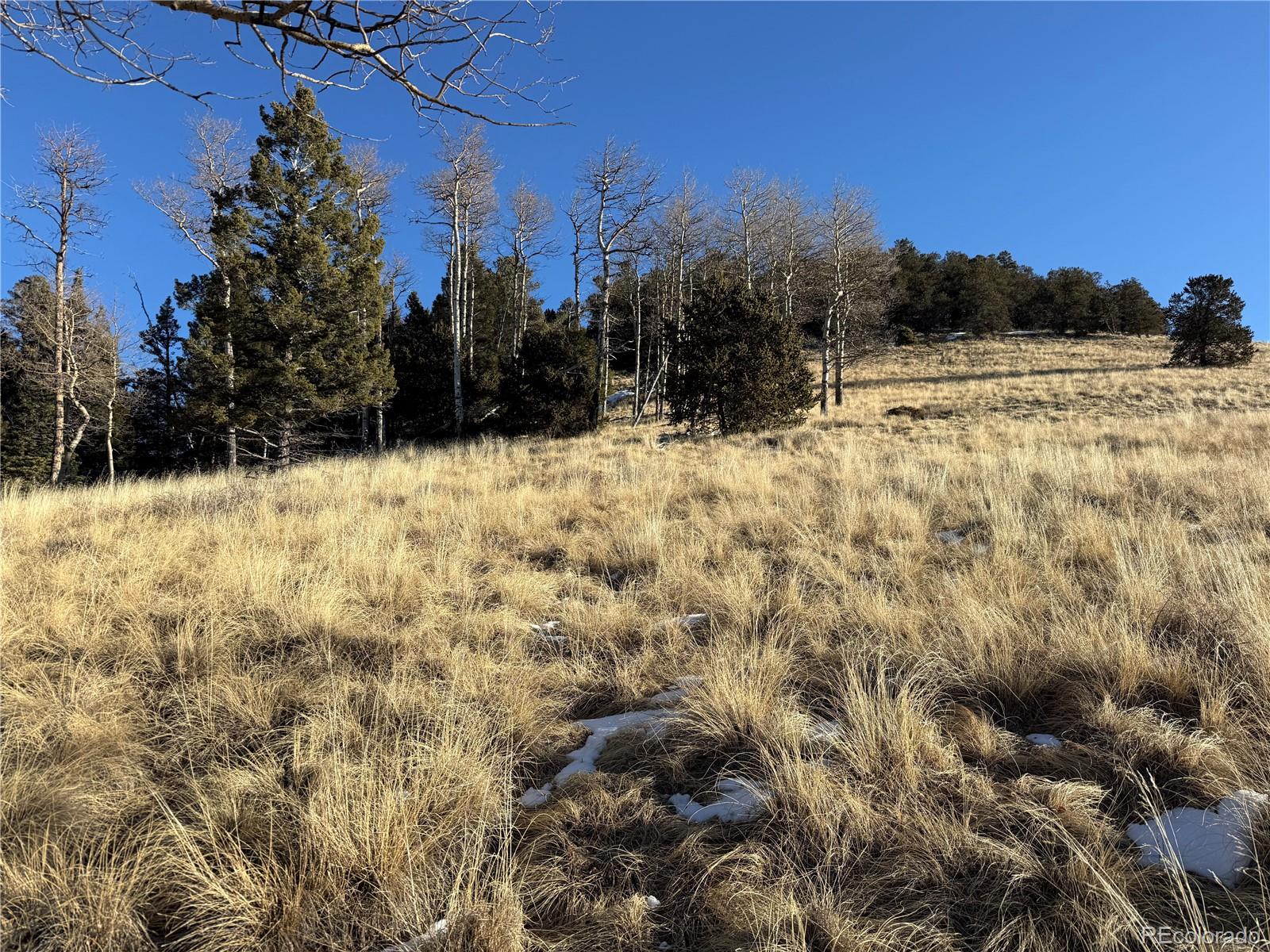 Lot 499 Collinson Drive Fort Garland CO 81133