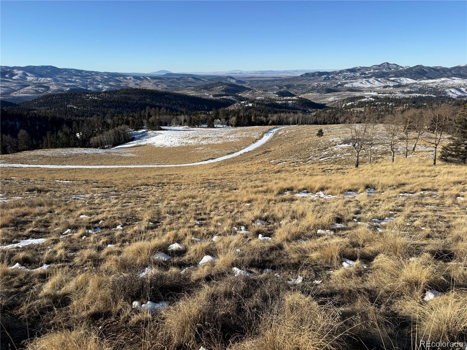 Lot 499 Collinson Drive Fort Garland CO 81133