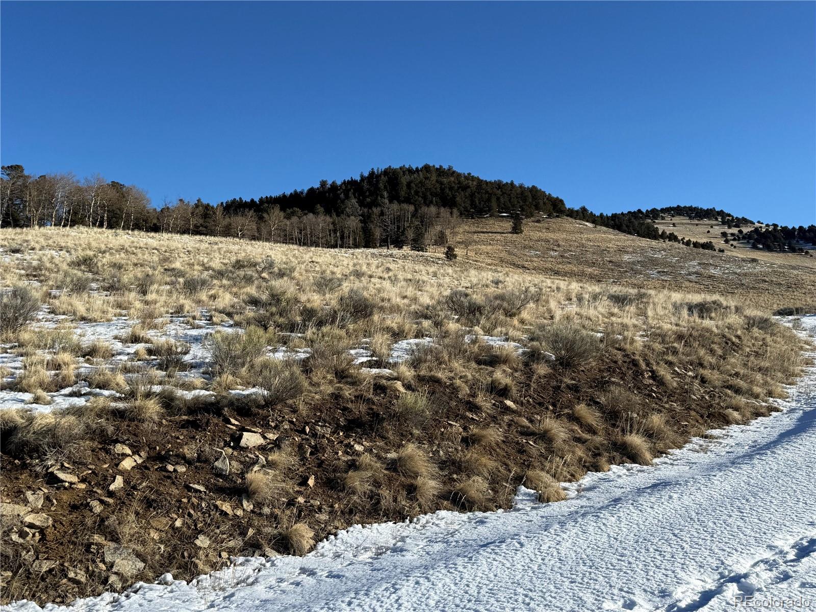 Lot 499 Collinson Drive Fort Garland CO 81133