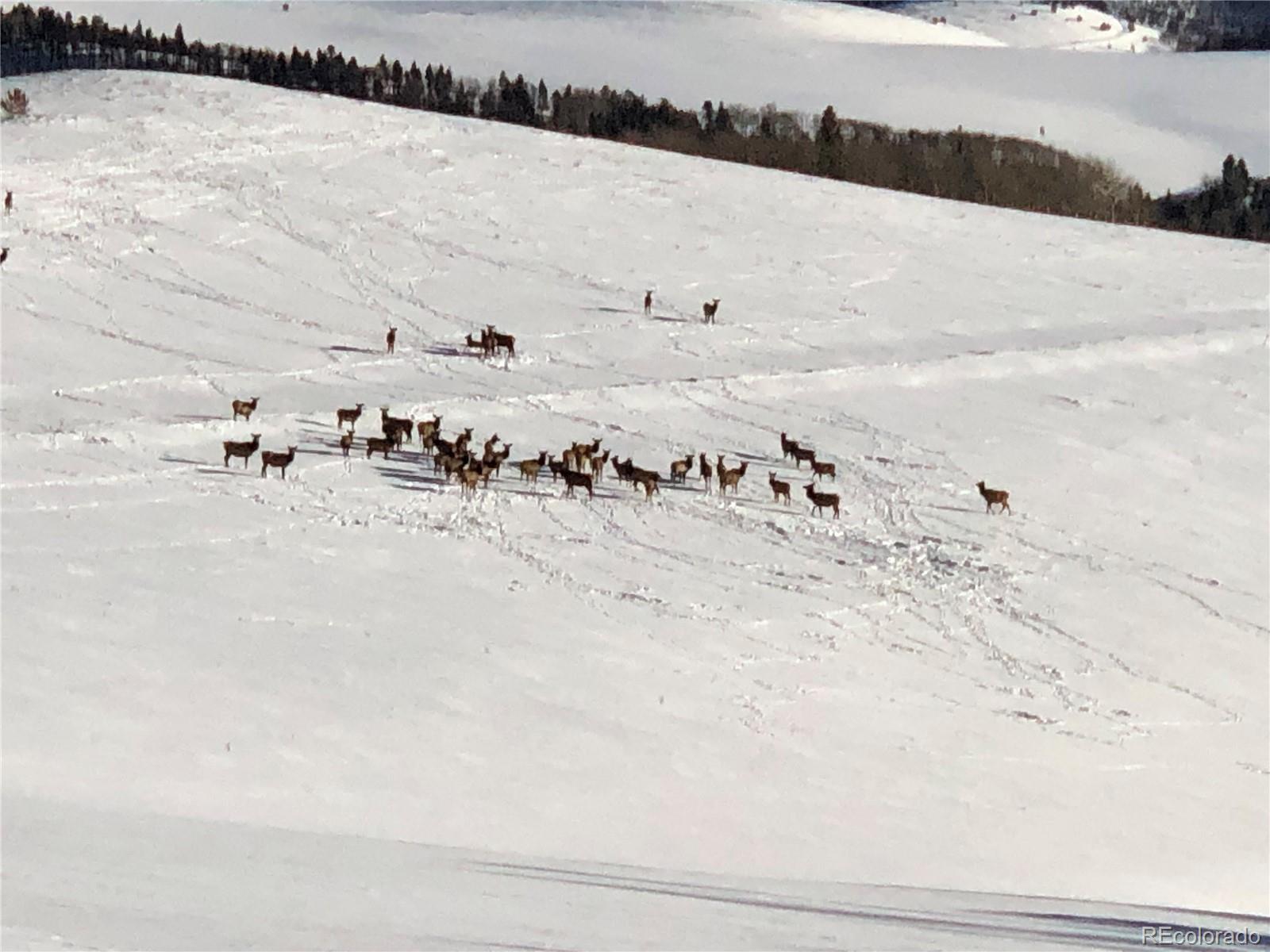 Lot 499 Collinson Drive Fort Garland CO 81133