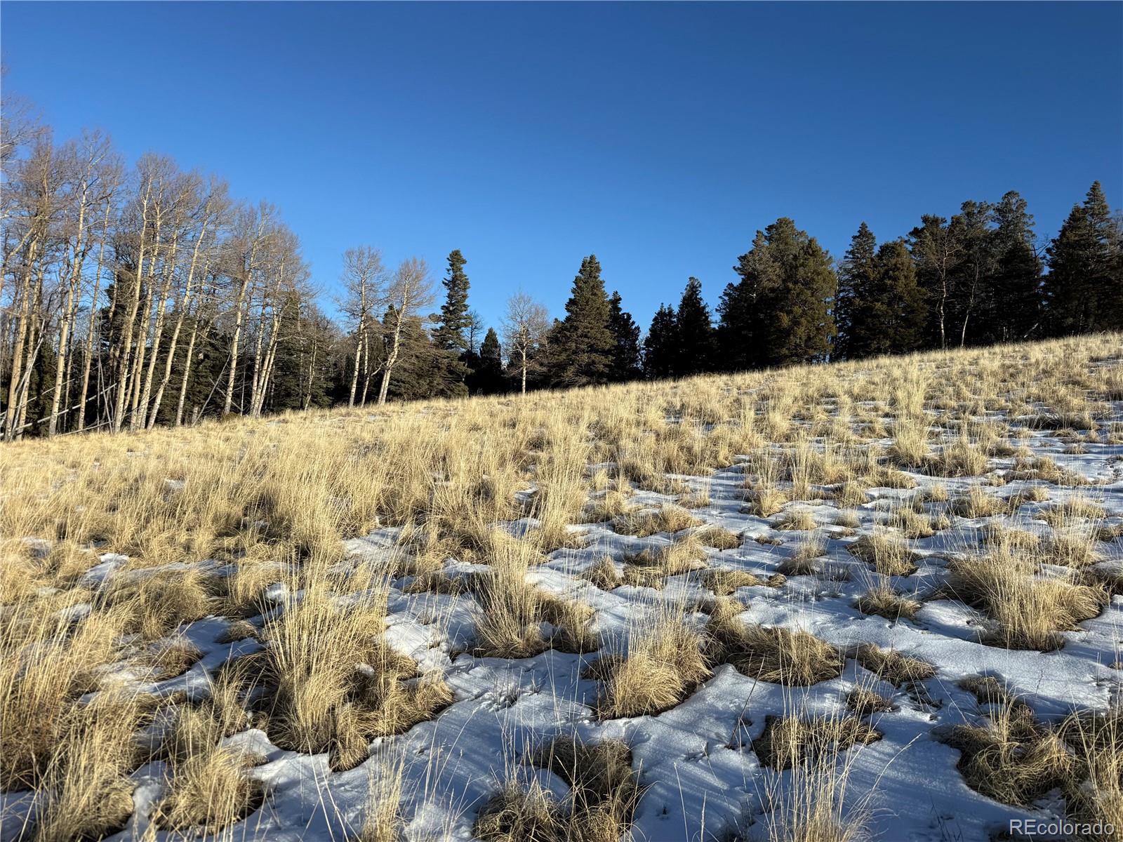 Lot 499 Collinson Drive Fort Garland CO 81133