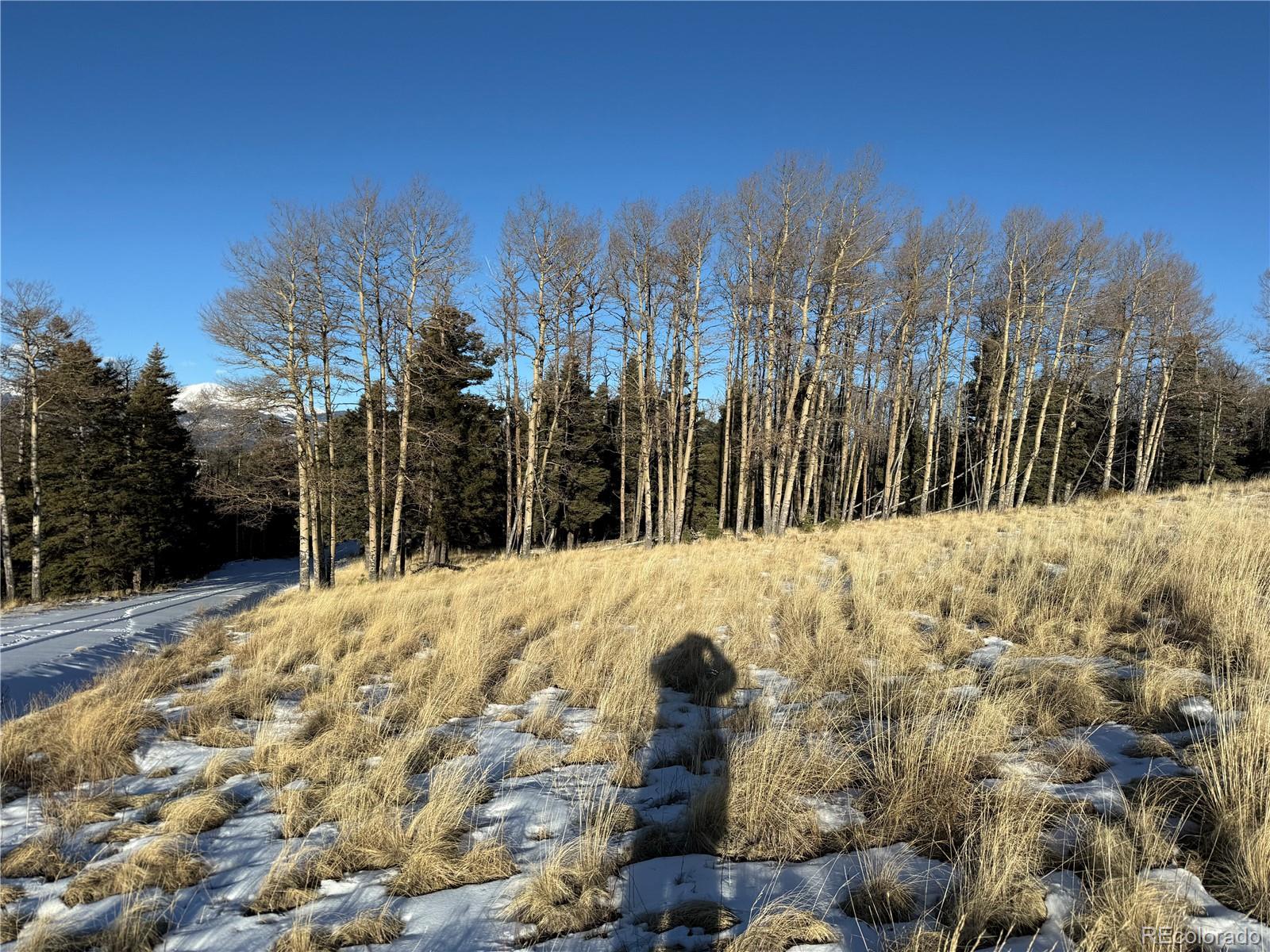 Lot 499 Collinson Drive Fort Garland CO 81133