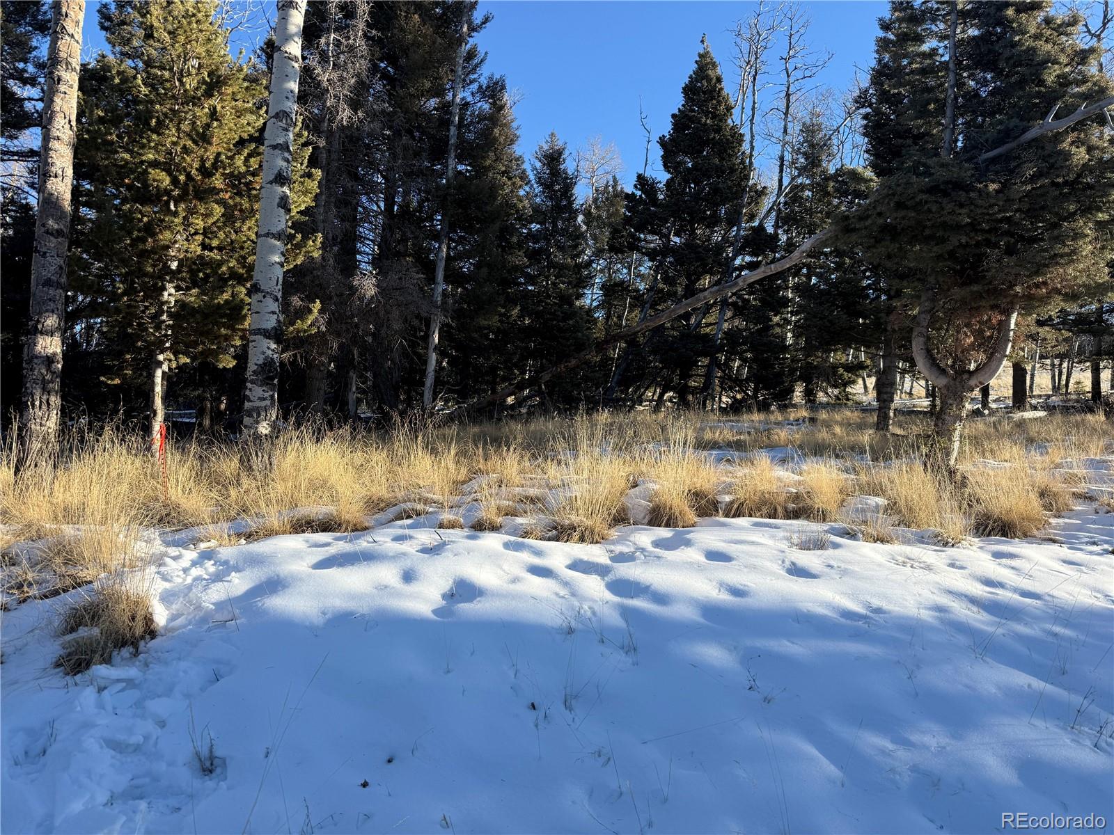 Lot 499 Collinson Drive Fort Garland CO 81133