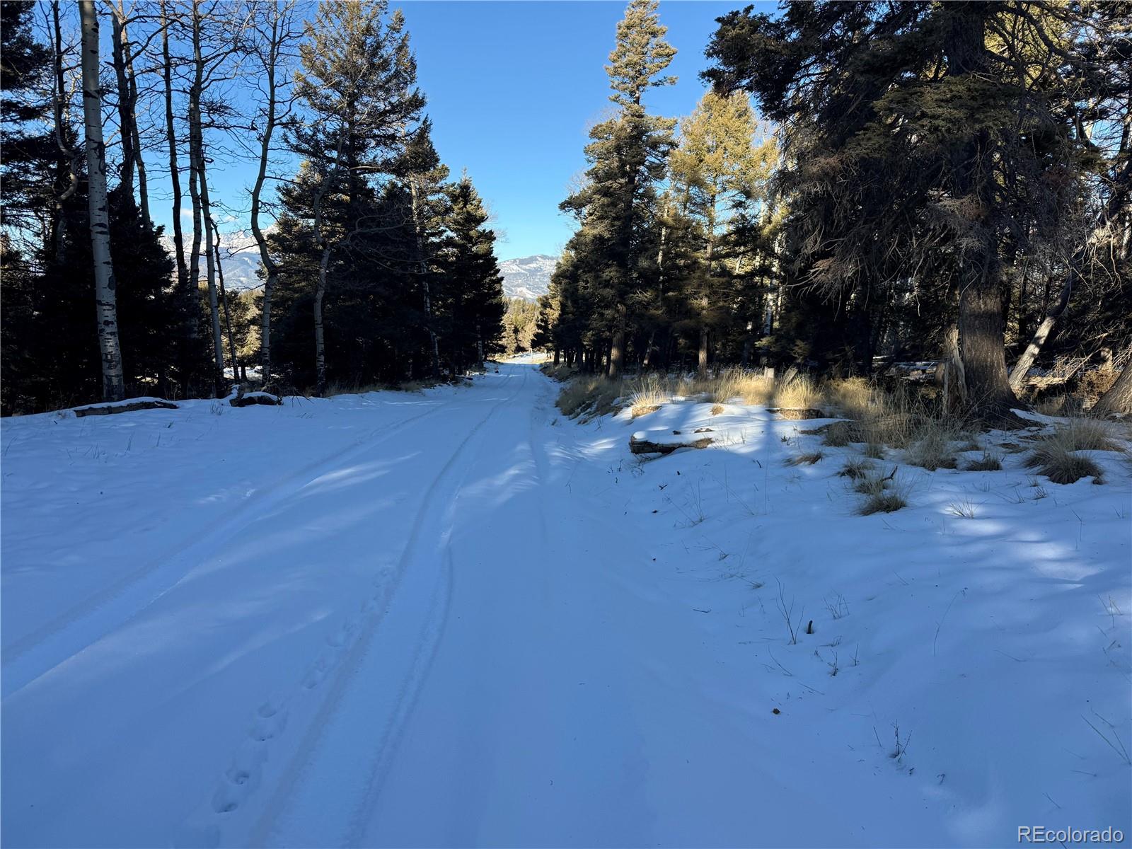 Lot 499 Collinson Drive Fort Garland CO 81133
