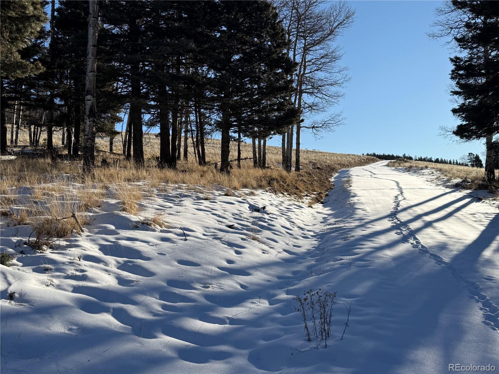 Lot 499 Collinson Drive Fort Garland CO 81133