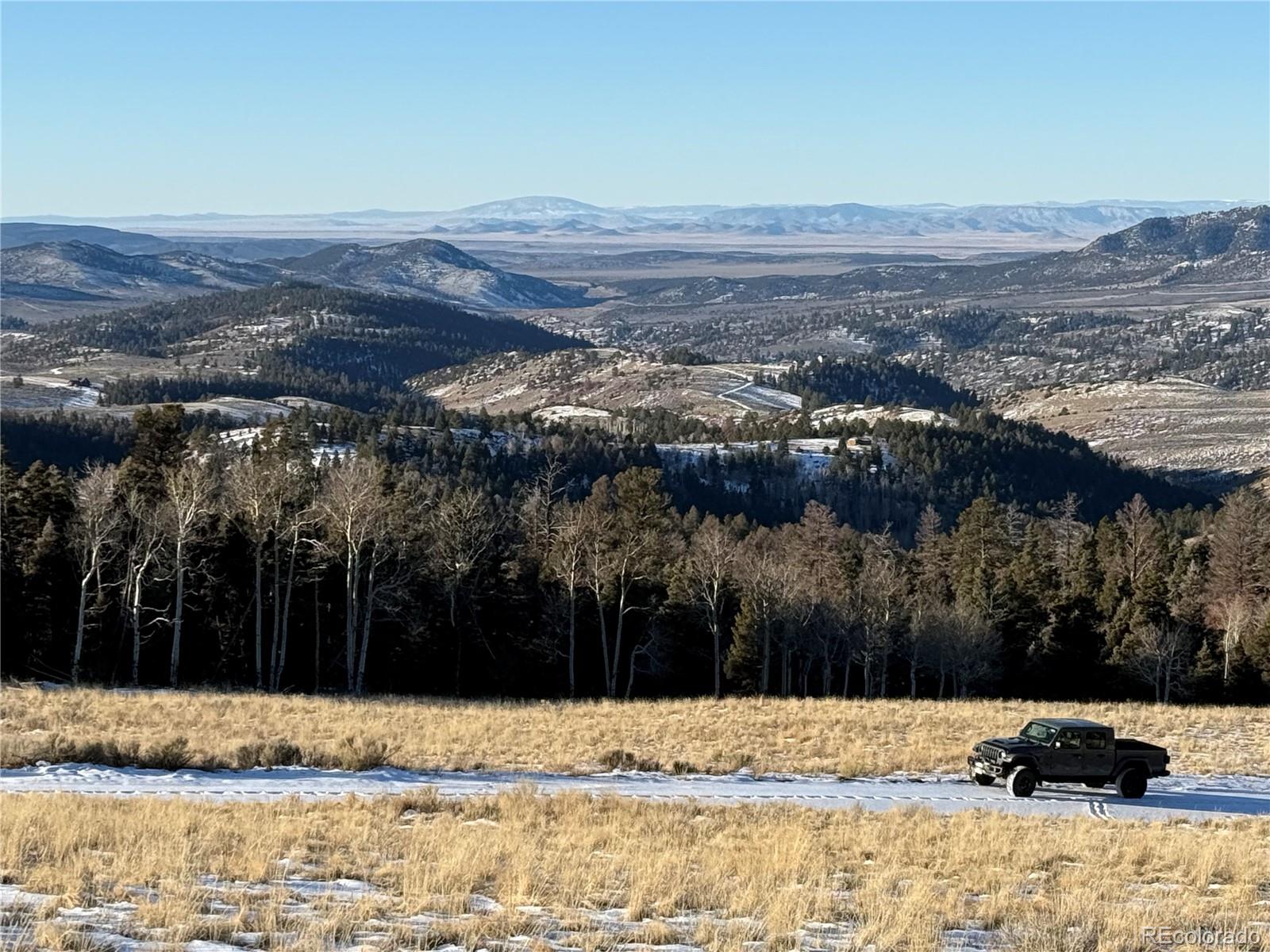 Lot 499 Collinson Drive Fort Garland CO 81133