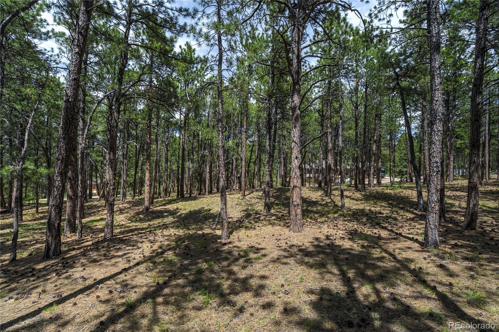 17960 Smugglers Road Monument CO 80132