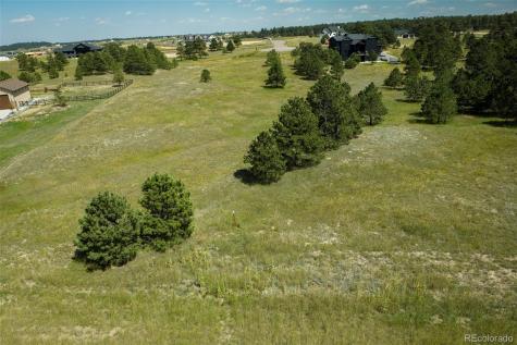 11556 Bison Meadows Court Colorado Springs CO 80908