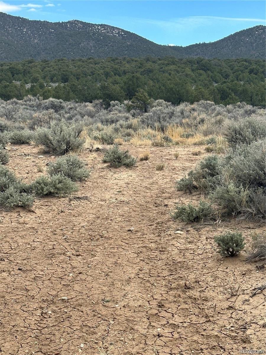1981 Yablon Road Fort Garland CO 81133