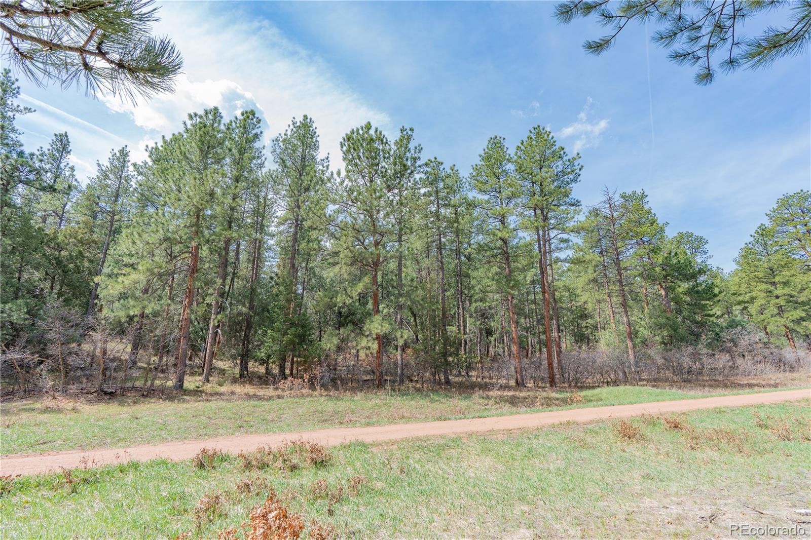 8257 Bannock Drive Larkspur CO 80118