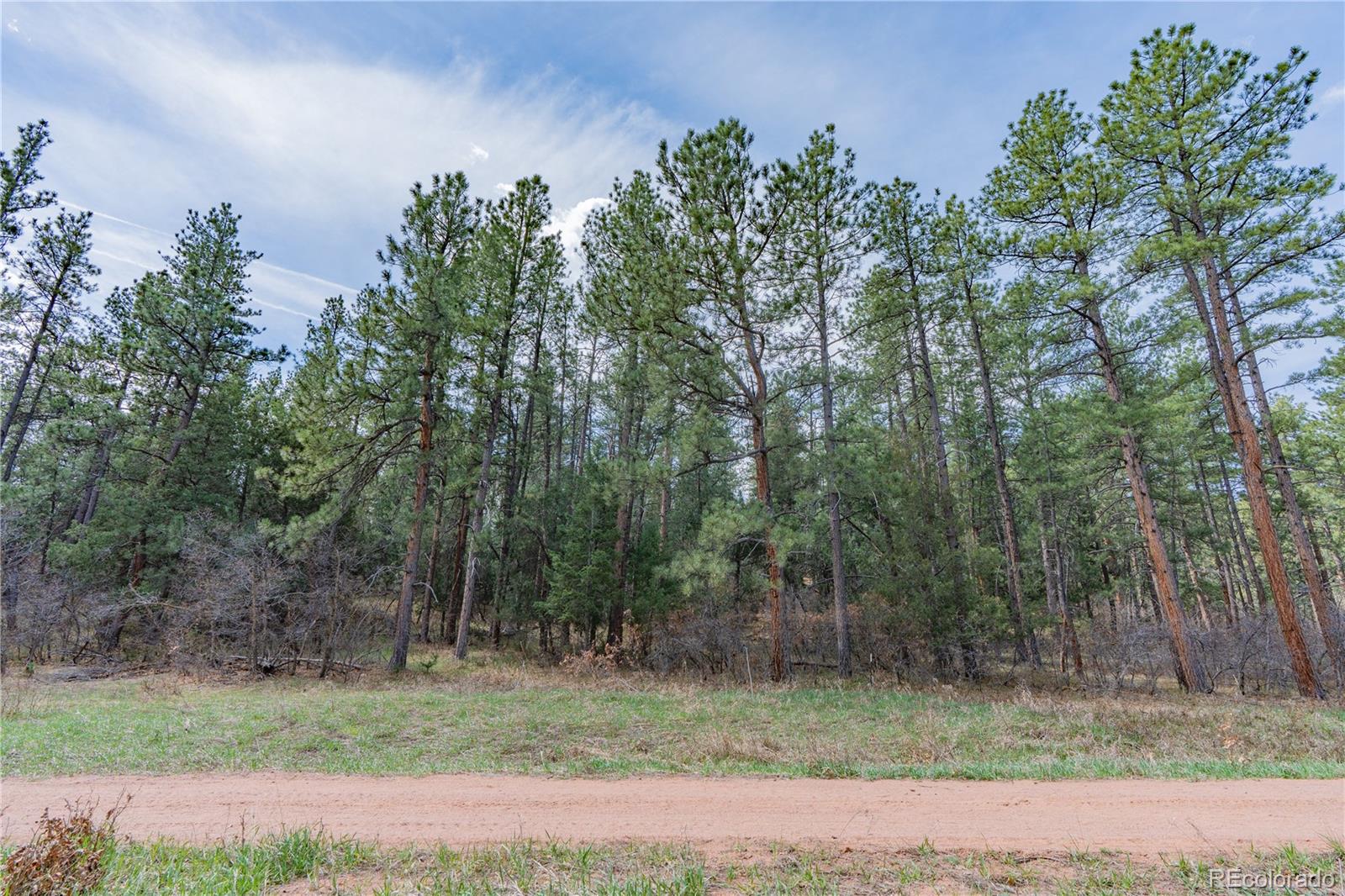 8257 Bannock Drive Larkspur CO 80118