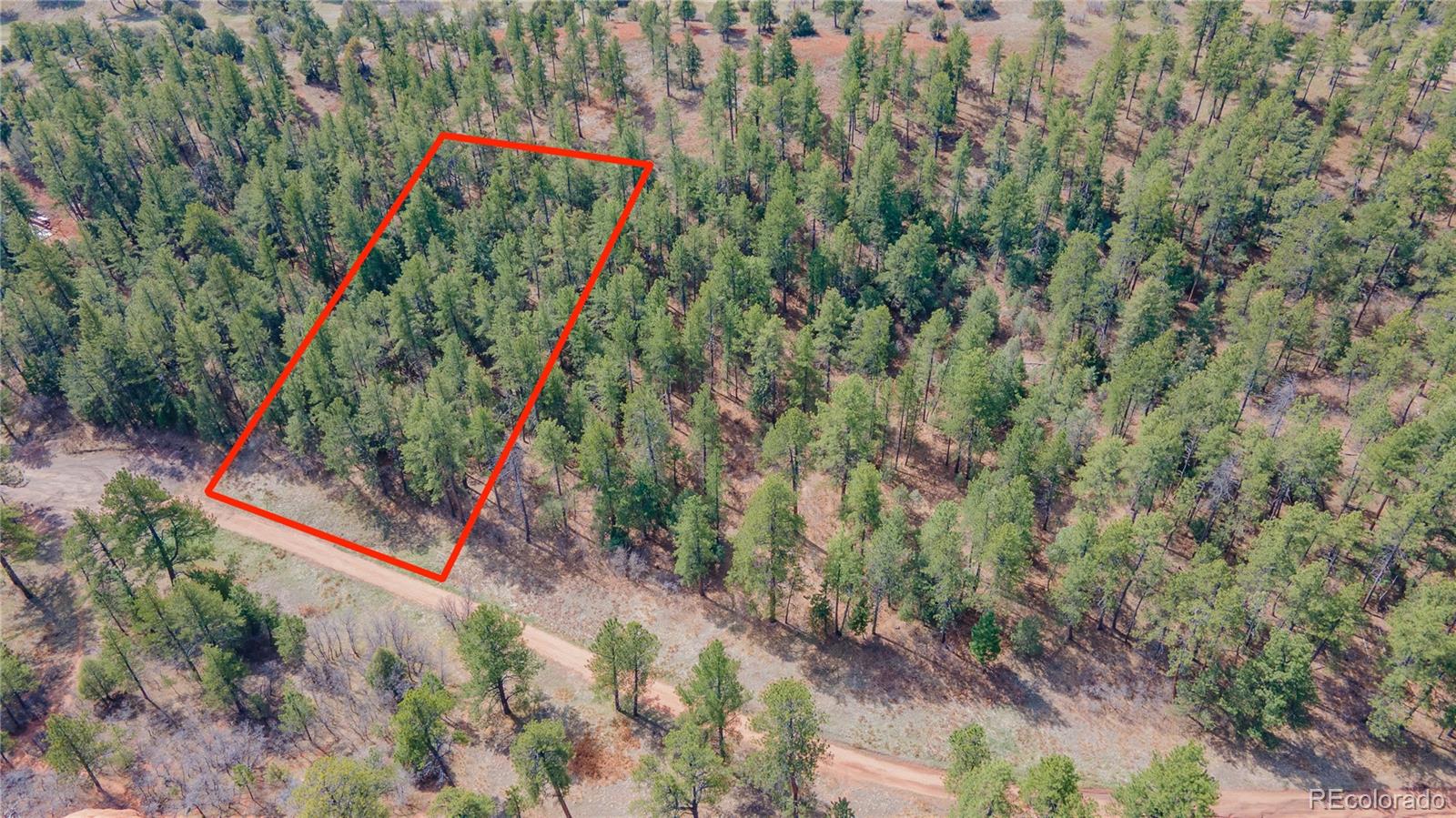 8257 Bannock Drive Larkspur CO 80118