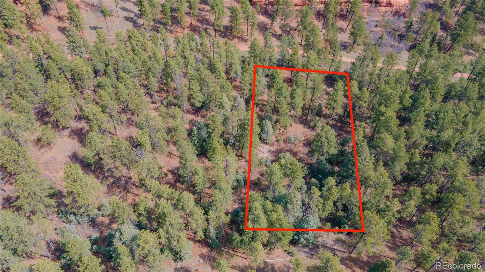 8257 Bannock Drive Larkspur CO 80118
