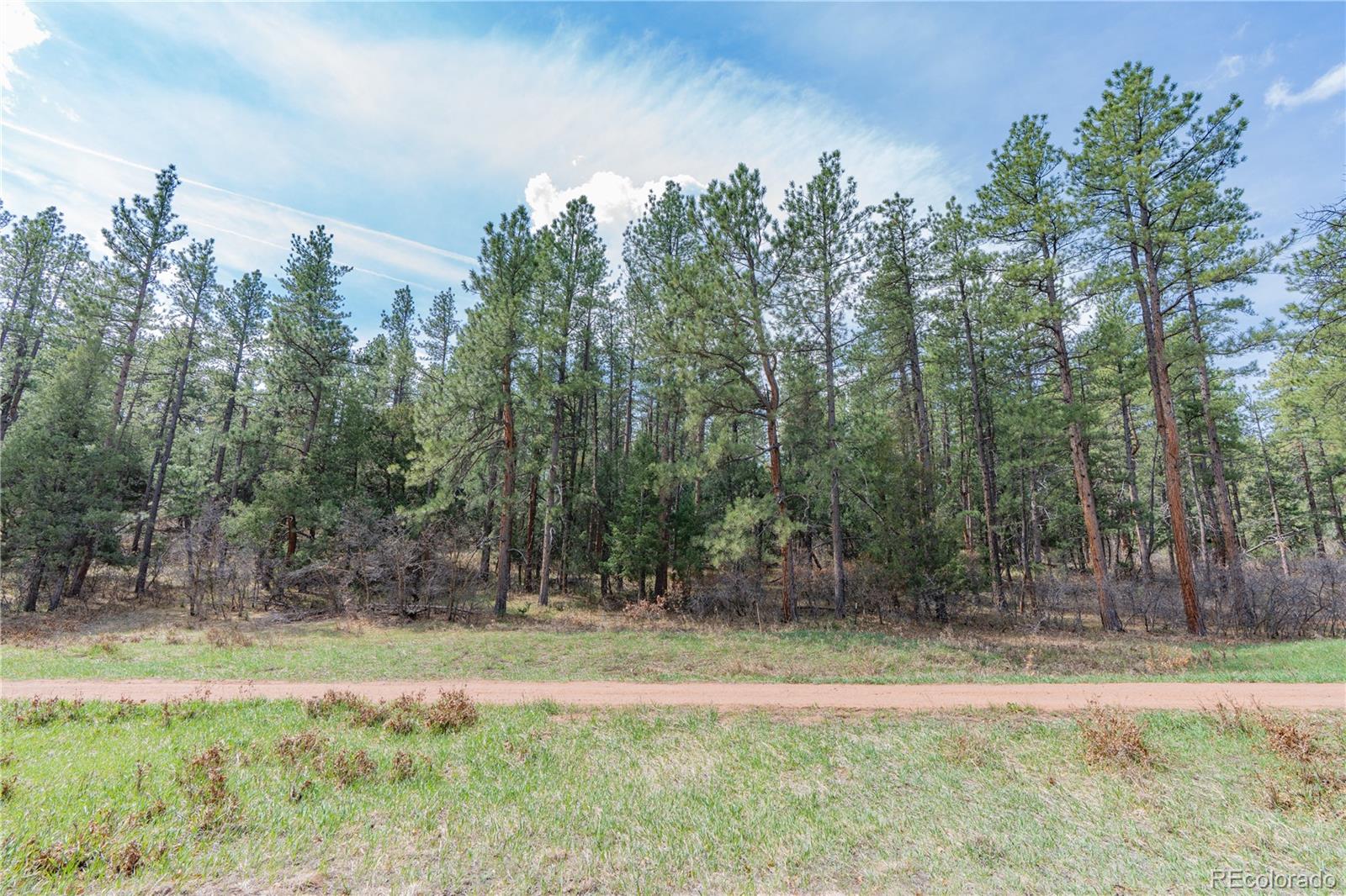 8257 Bannock Drive Larkspur CO 80118