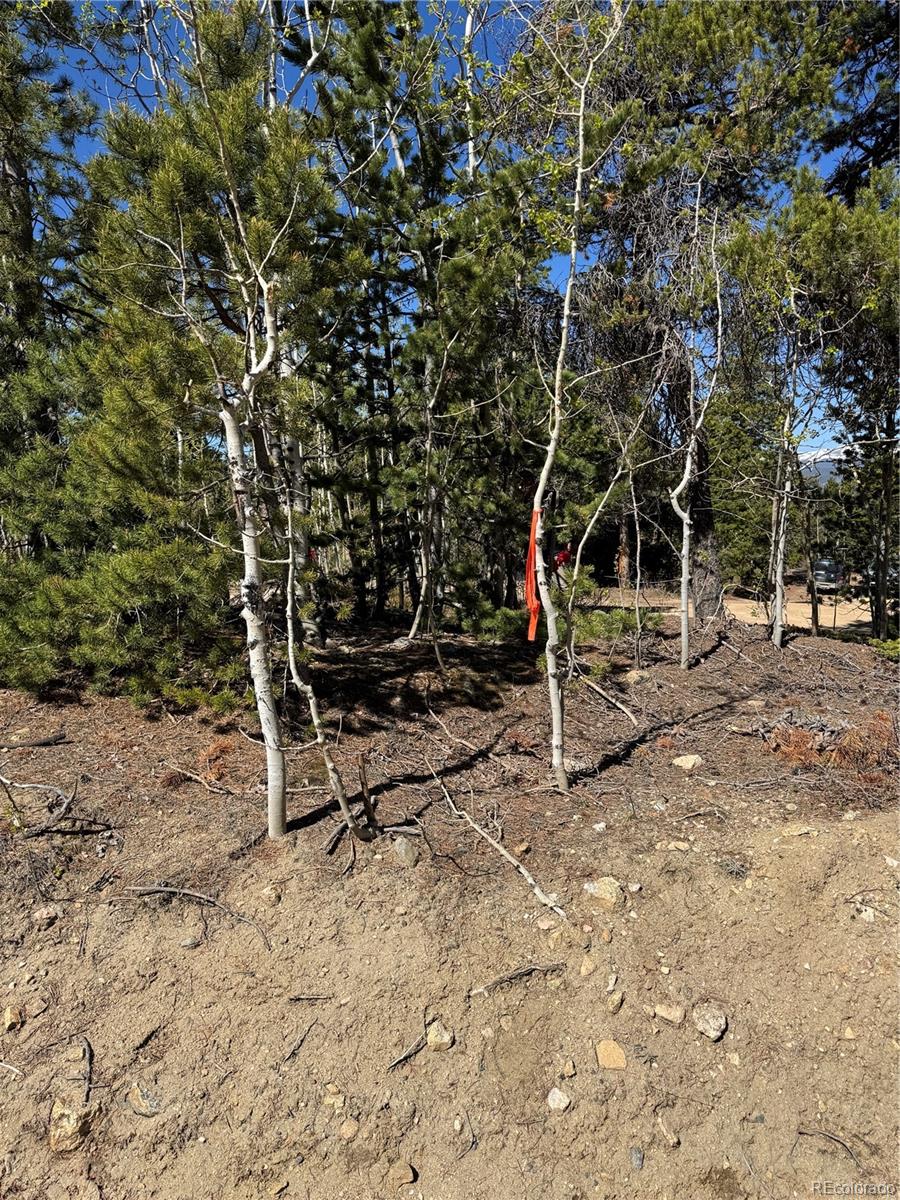 0 Randall Ridge Road Black Hawk CO 80422