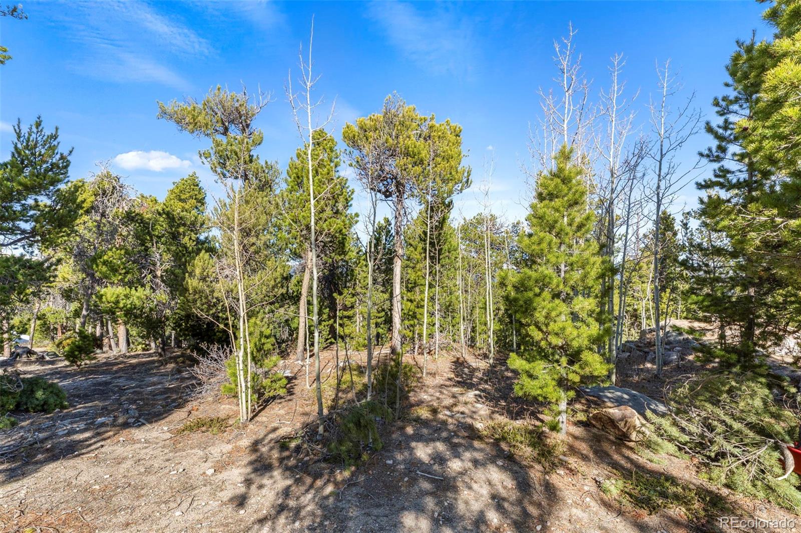 0 Randall Ridge Road Black Hawk CO 80422