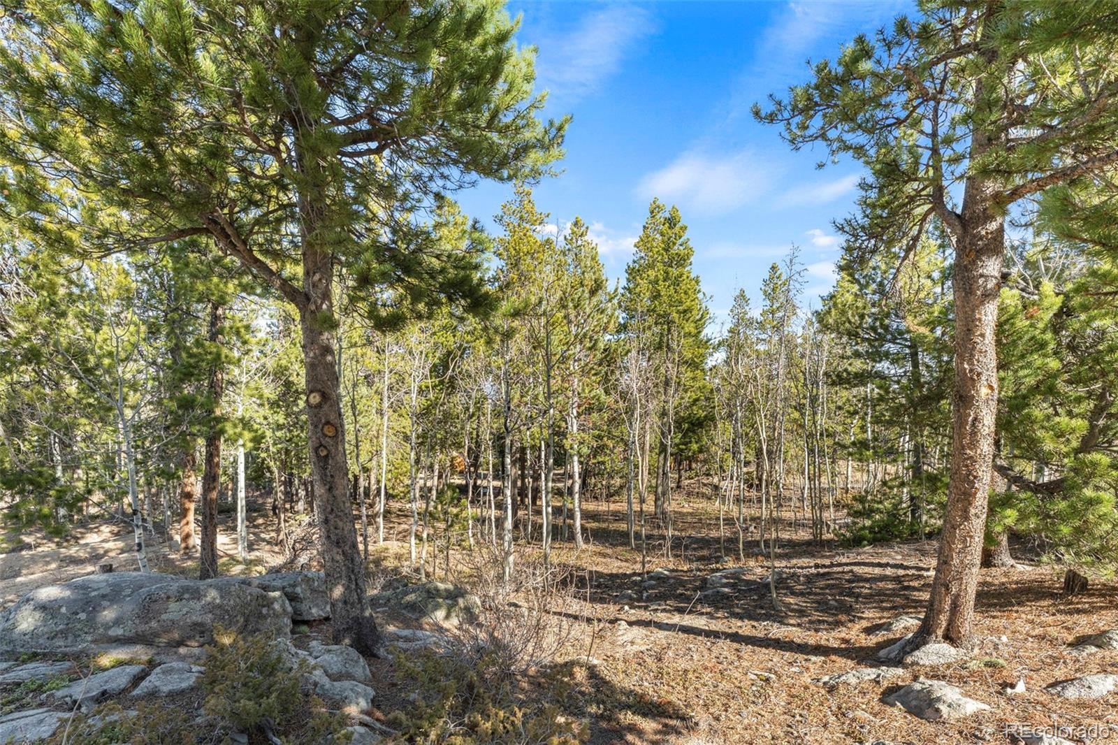 0 Randall Ridge Road Black Hawk CO 80422