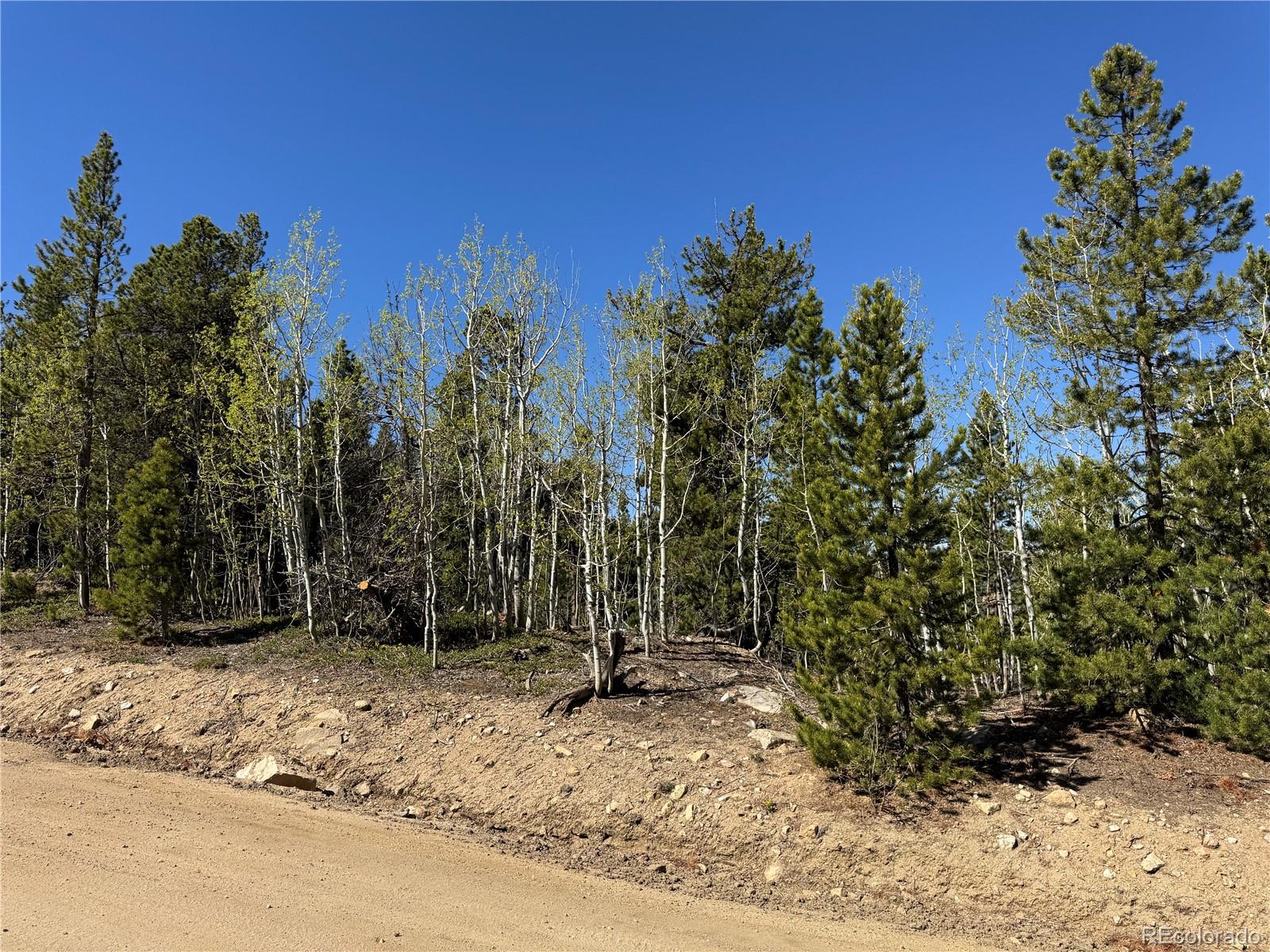 0 Randall Ridge Road Black Hawk CO 80422