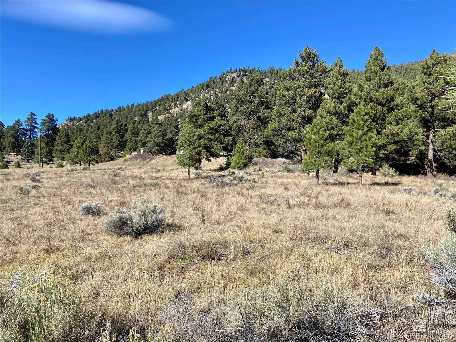 166 Lonesome Pine Drive Antonito CO 81120
