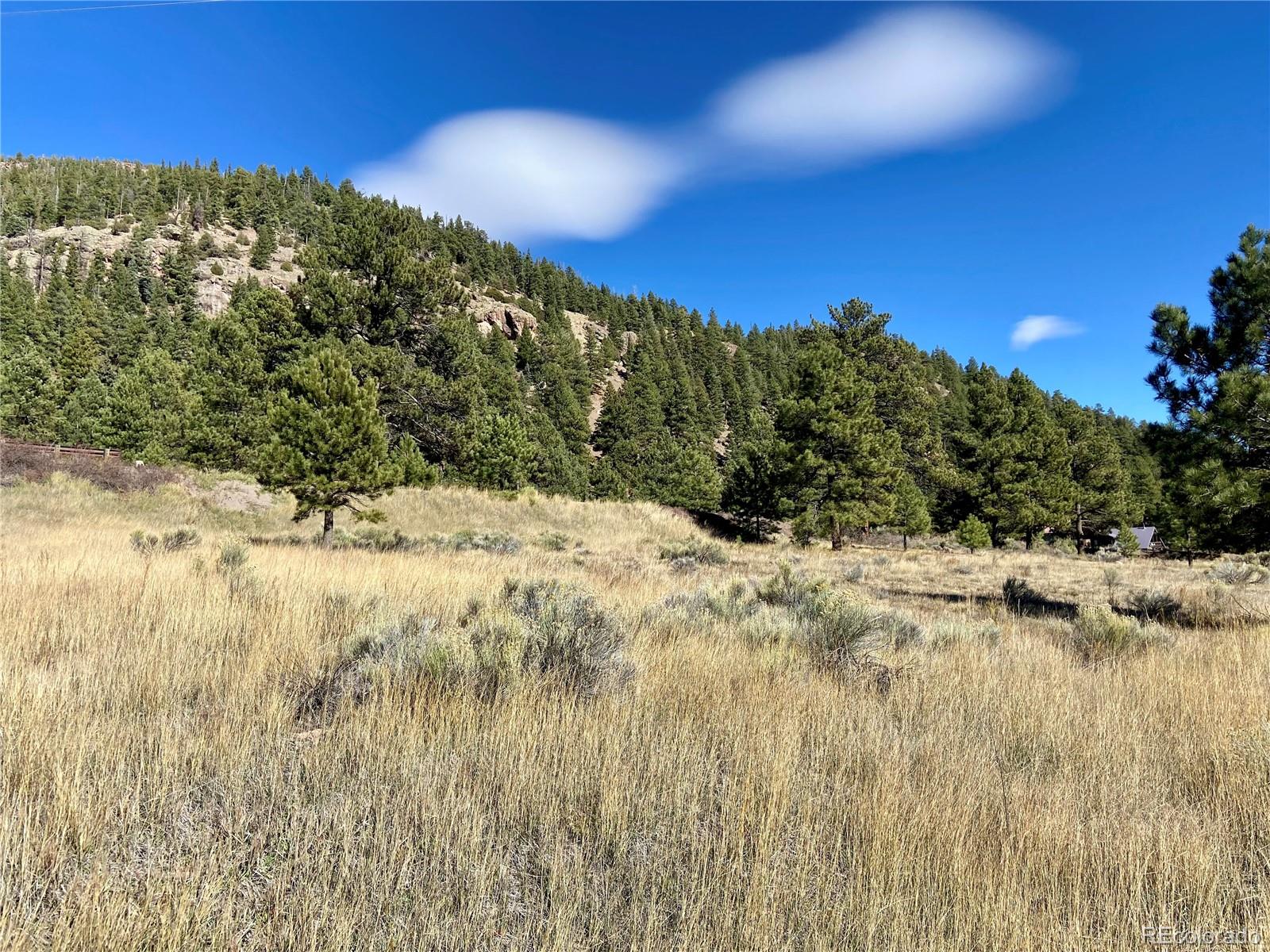 166 Lonesome Pine Drive Antonito CO 81120