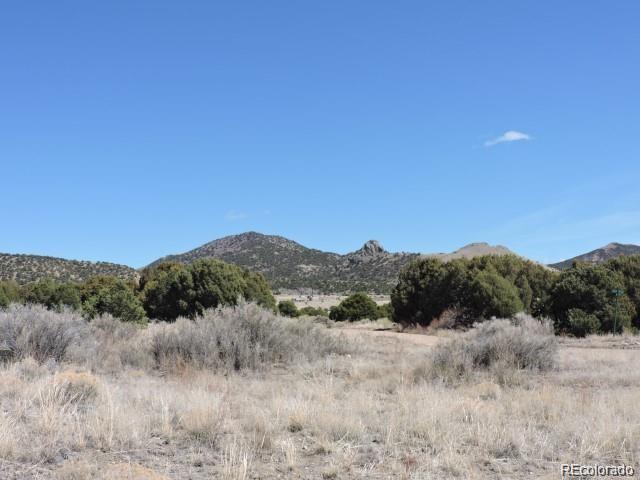 Lot 15 Oak & Sixteenth Street Blanca CO 81123