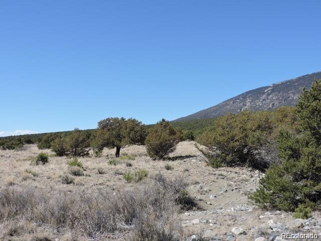Lot 15 Oak & Sixteenth Street Blanca CO 81123