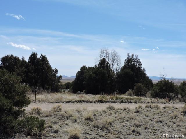 Lot 15 Oak & Sixteenth Street Blanca CO 81123