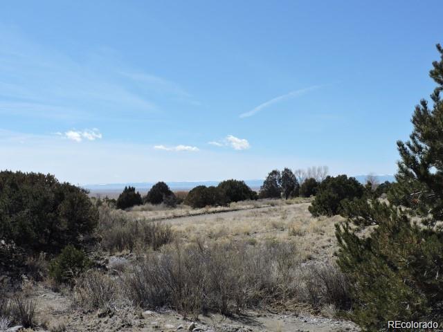 Lot 15 Oak & Sixteenth Street Blanca CO 81123